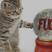 F**K snow globe