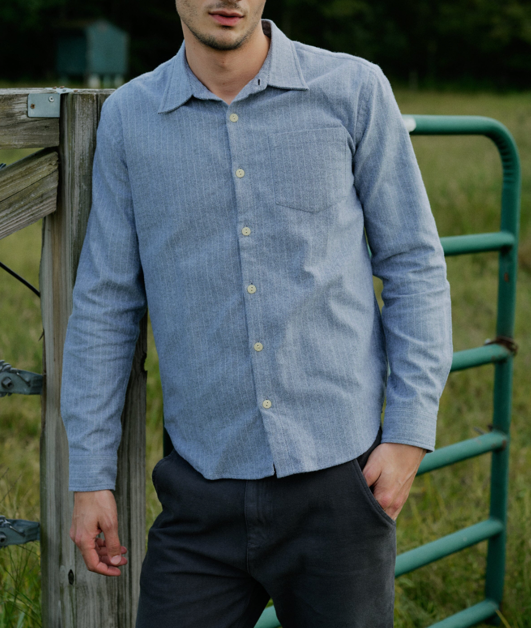 Accord Shirt in Cotton Flannel