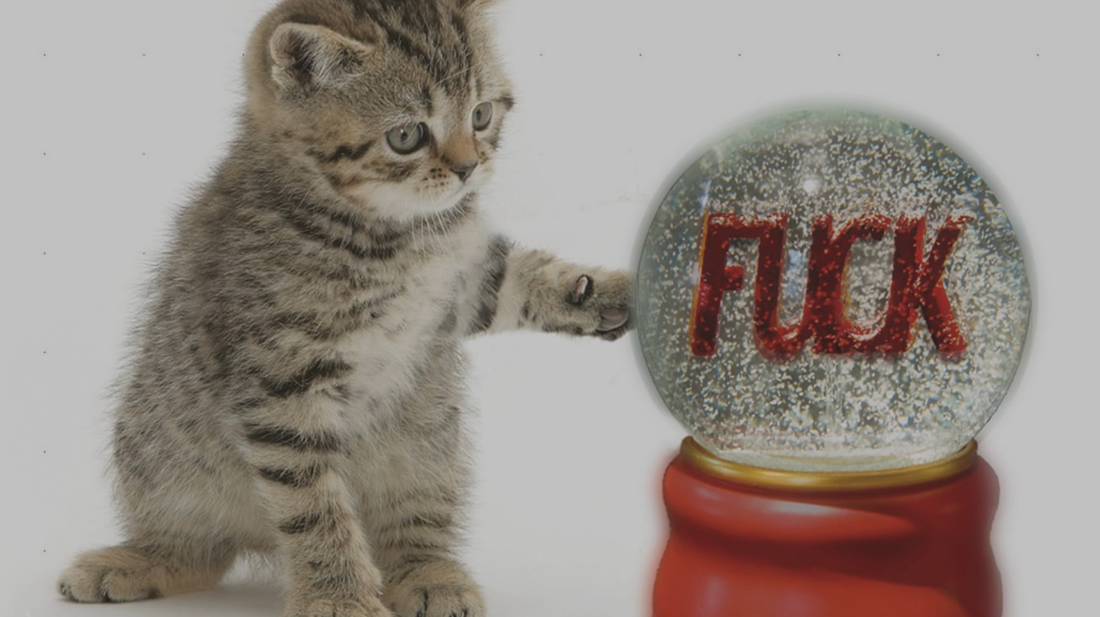 F**K snow globe